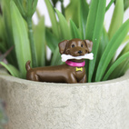 Plant figurines Adorable Dogs