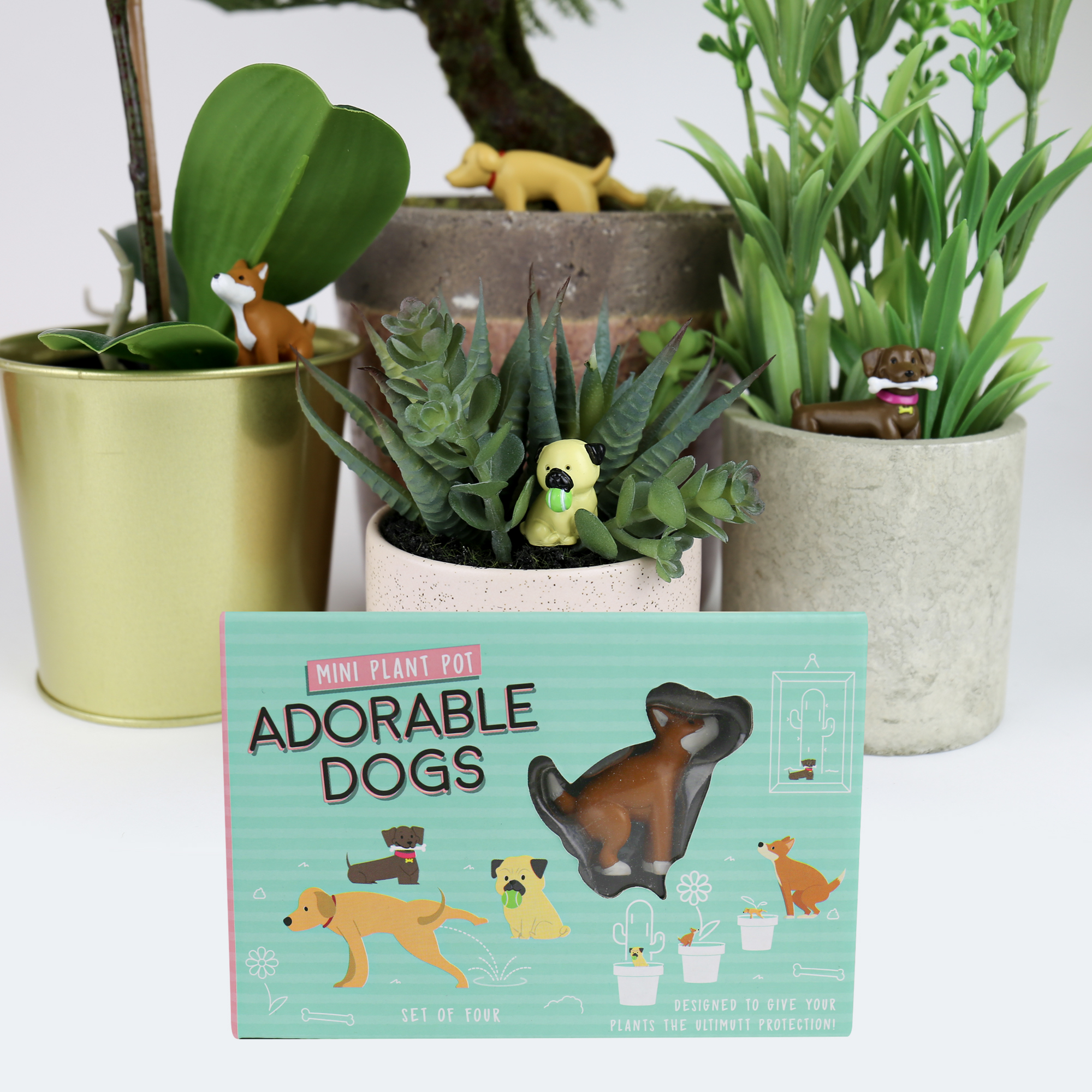 Plant figurines Adorable Dogs