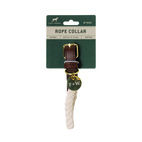 Dog collar (Small) Natural white