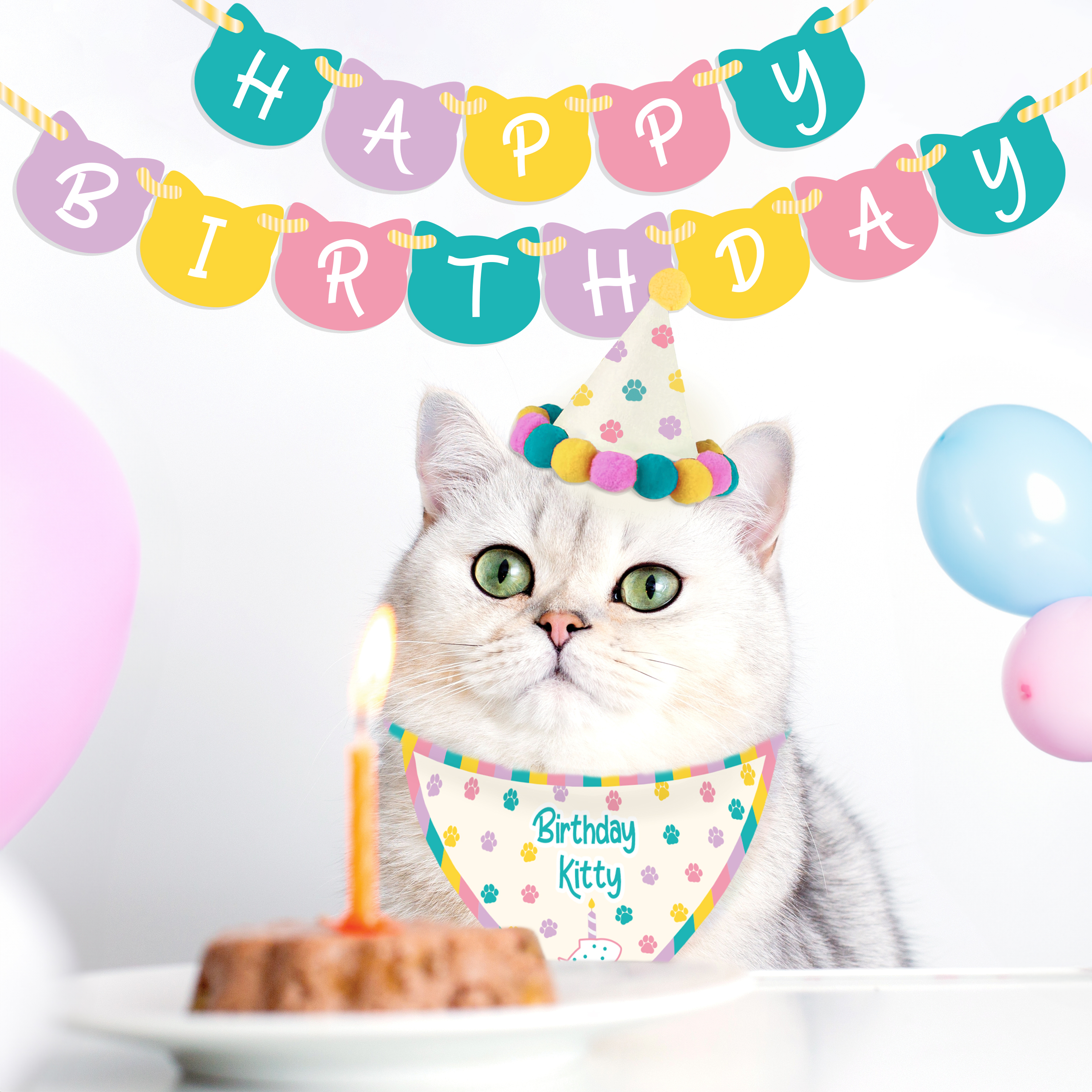 Birthday kit Cat