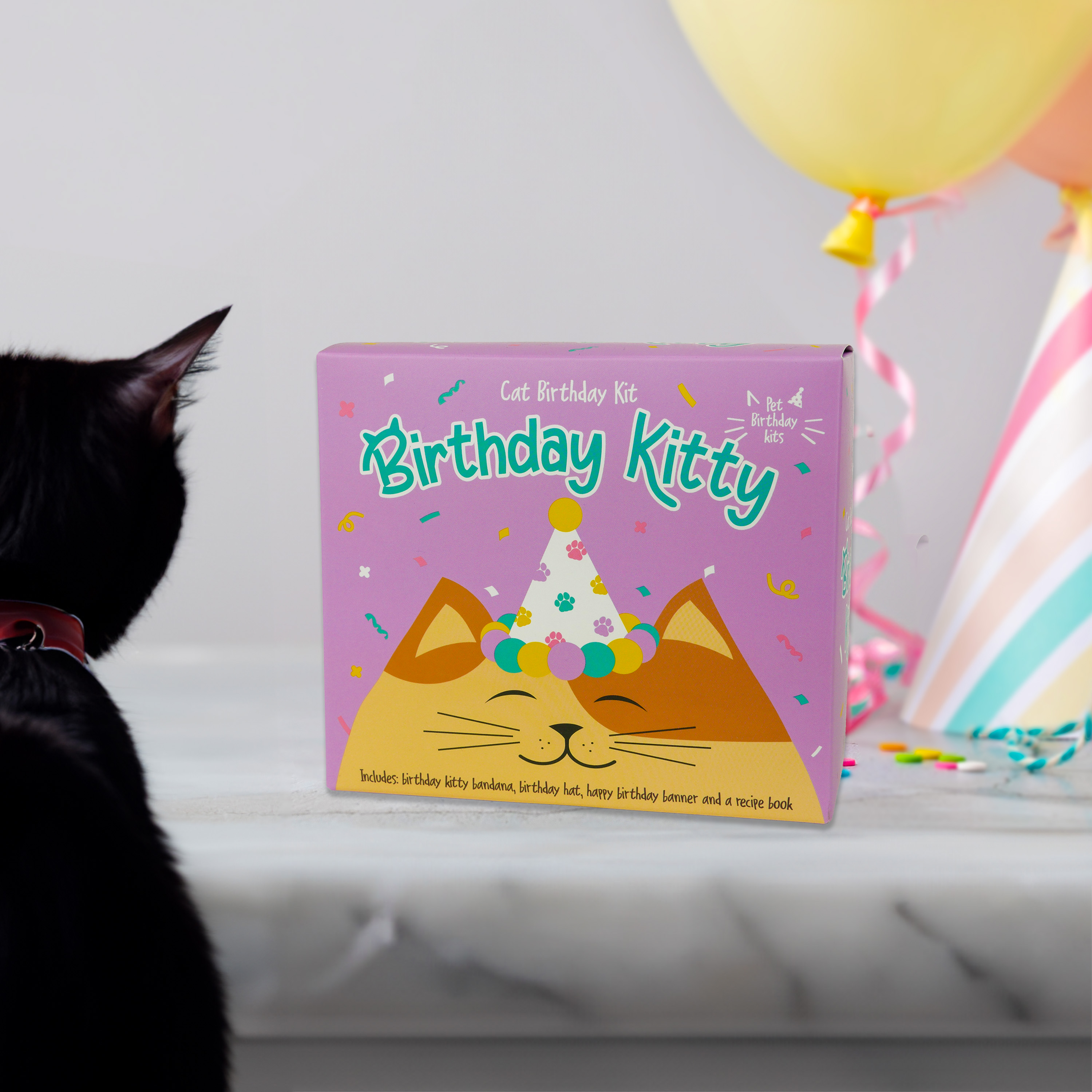 Birthday kit Cat