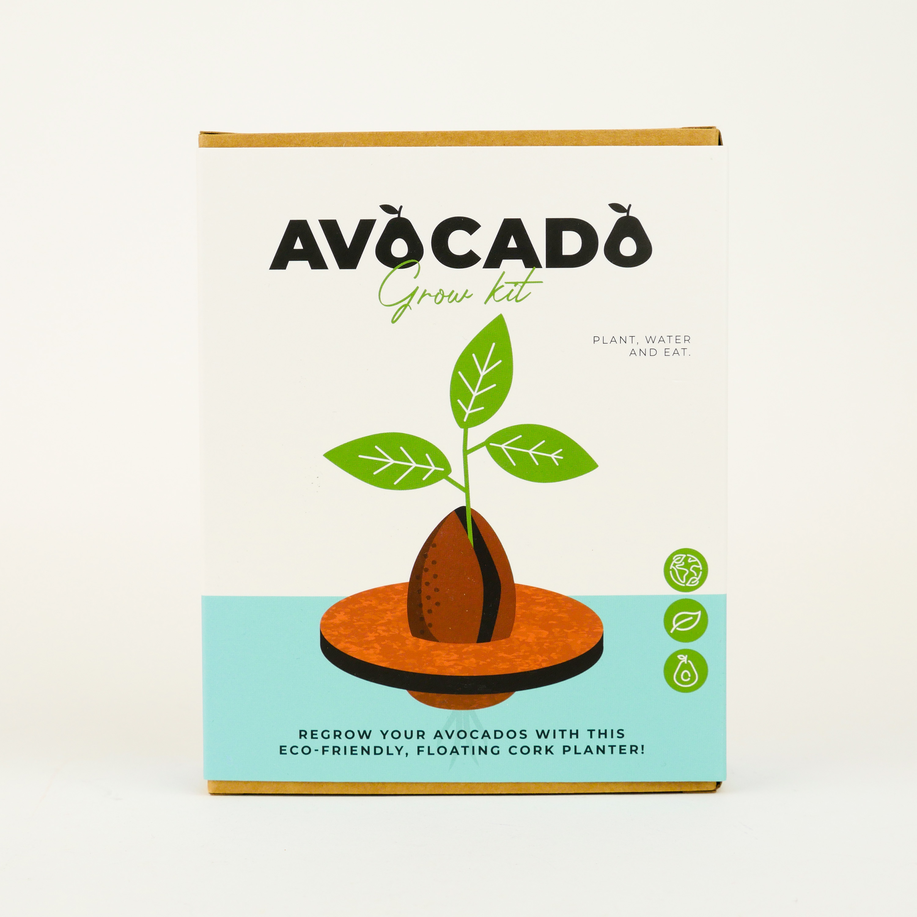 Growing kit Avocado