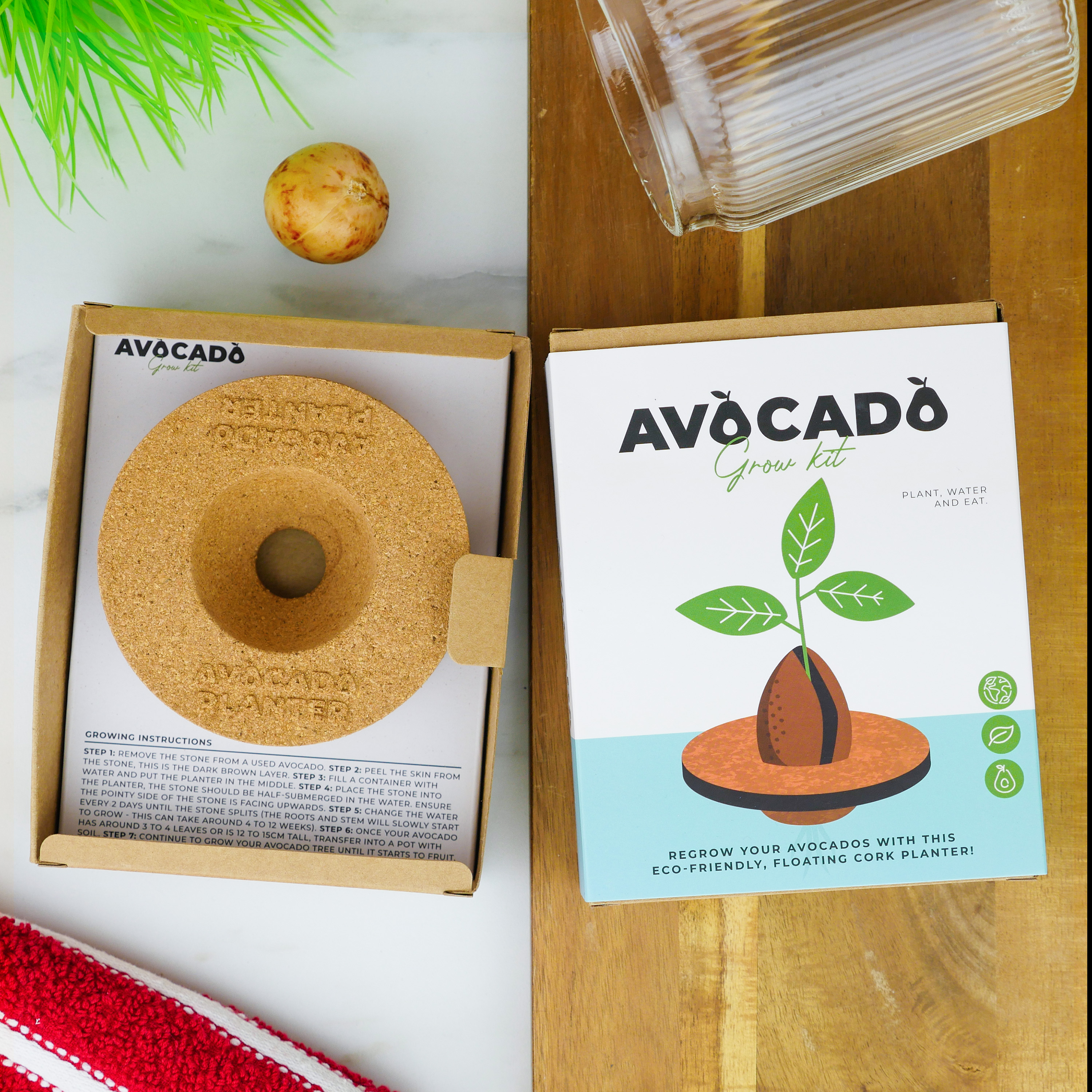 Growing kit Avocado