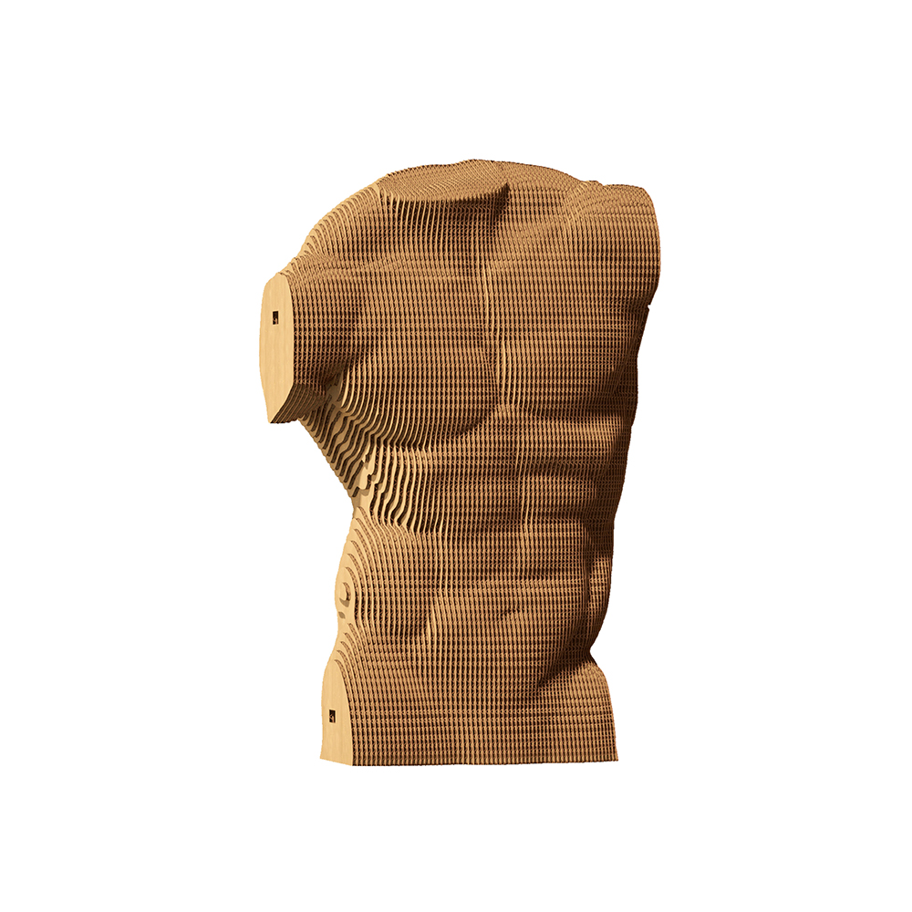 Cartonic 3D Puzzle MALE TORSO