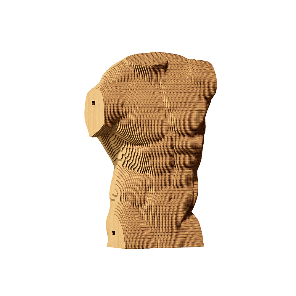 Cartonic 3D Pussel MANLIG TORSO