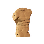 Cartonic 3D Puzzle MALE TORSO