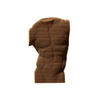 Cartonic 3D Puzzle MALE TORSO