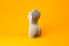 Cartonic 3D Puzzle FEMALE TORSO