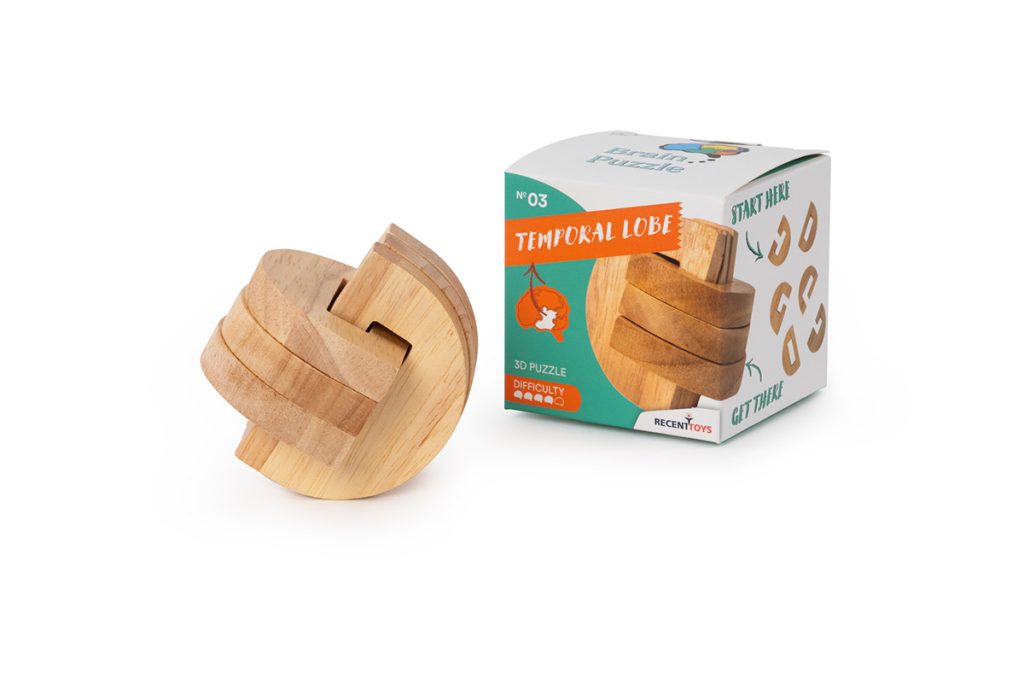 Brain Puzzle #3 Temporal Lobe