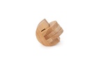 Brain Puzzle #3 Temporal Lobe