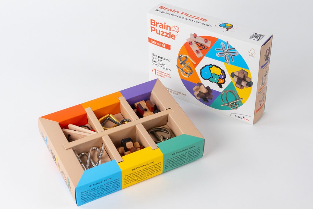 Brain puzzle Set 6 in 1