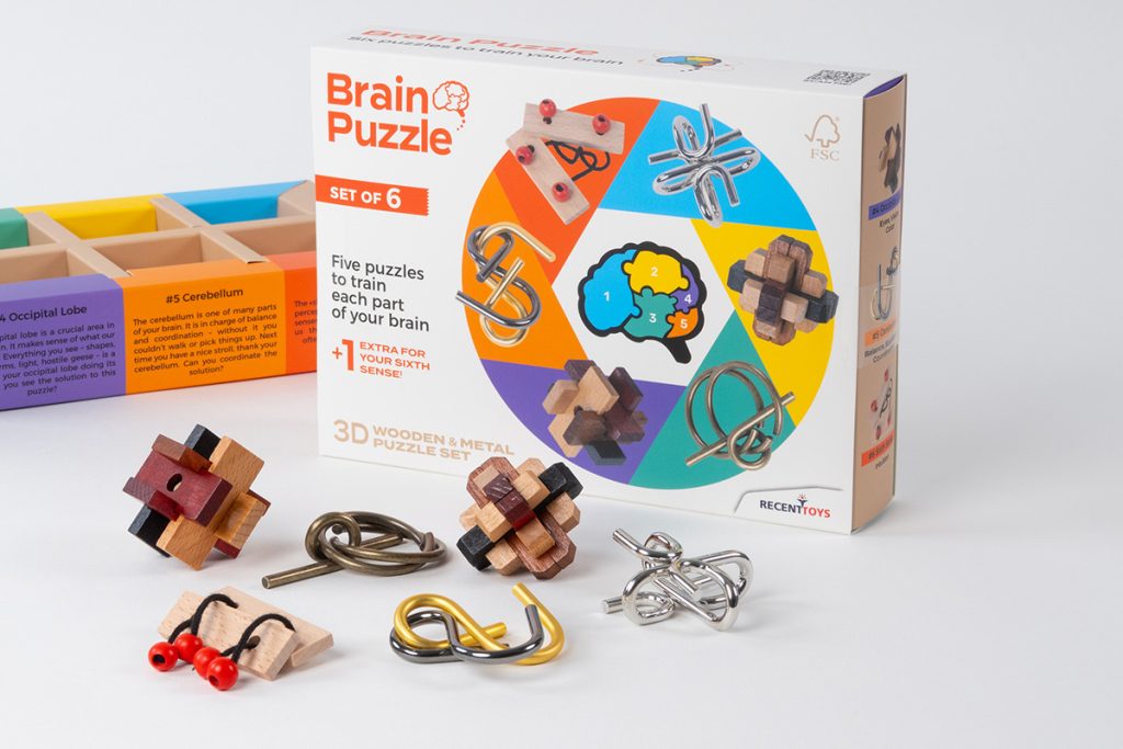 Brain puzzle Set 6 in 1