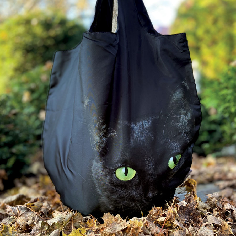 Easy Bag Fashion Cat