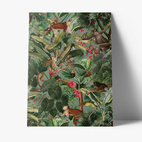 Mapp De Luxe Apor