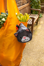 Kompakt Kasse Cat Carrier