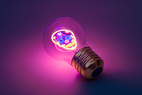 Sladdlös glödlampa Calavera Dödskalle