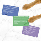 Personality test: Cat