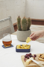 Snack bowl canned in ceramic Anchovies