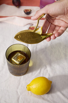 Citruspress, Fisk The Stevie