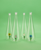 Flaska Botanical Solros 1,0l, Borosilikatglas