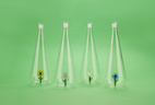 Flaska Botanical Solros 1,0l, Borosilikatglas