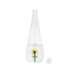 Flaska Botanical Solros 1,0l, Borosilikatglas