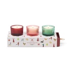 Presentset Doftljus i Räfflat Glas (3x 56 g) . Winter Berry, Pink Peppermint & Balsam Fir