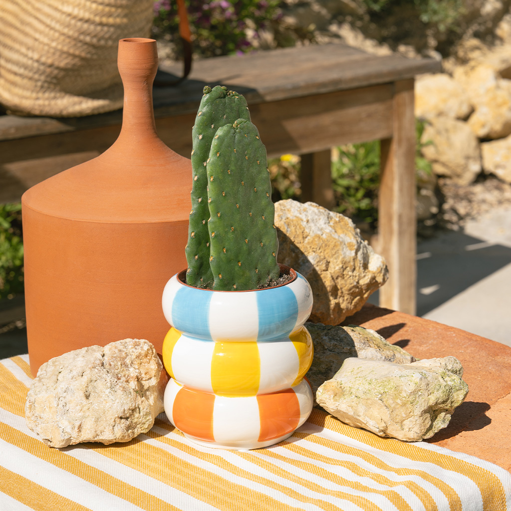 Ceramic flower pot Floats, multi-colored 12 cm