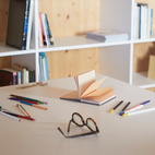 Anteckningsbok Conserverie, Saumon