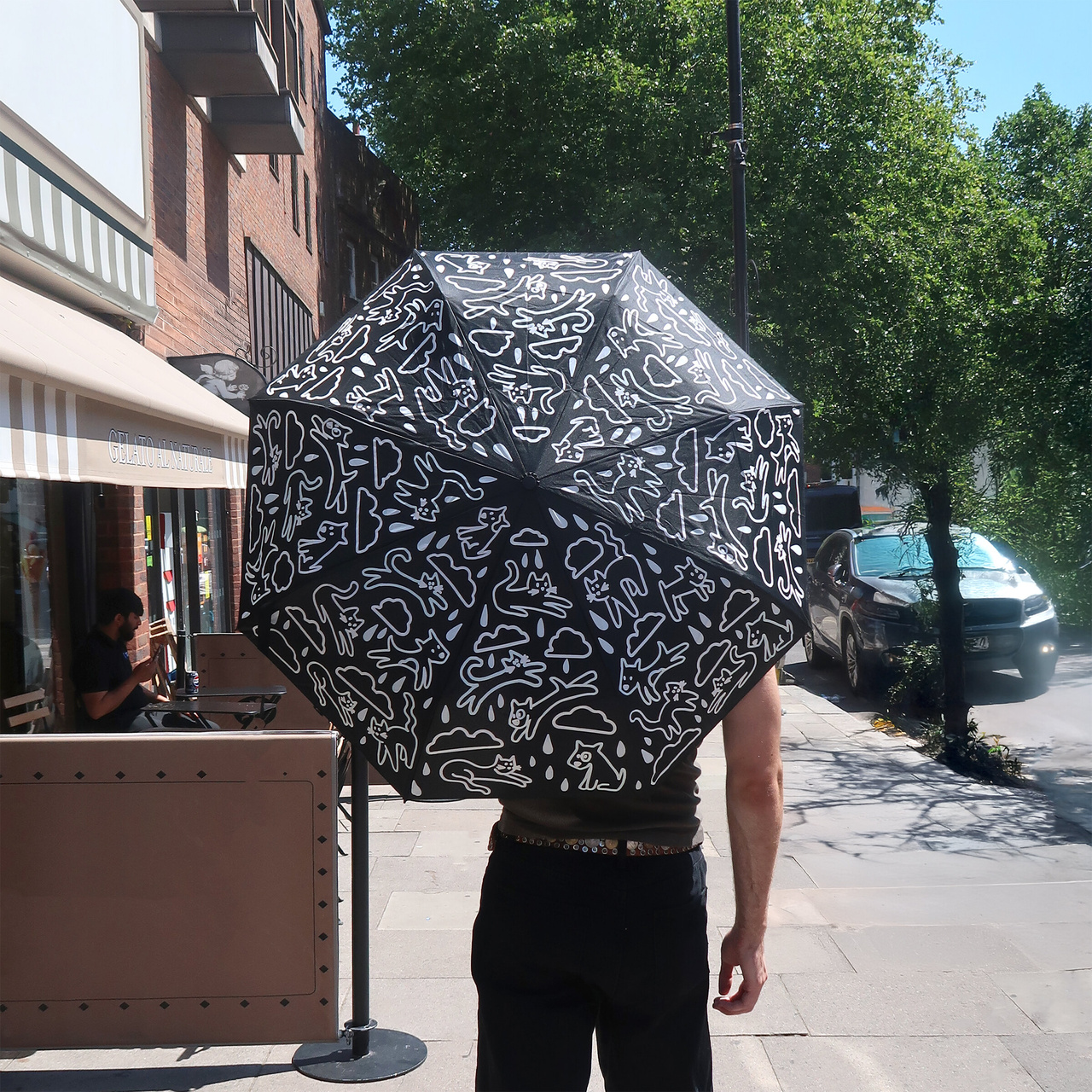 Paraply - Raining Cats & Dogs