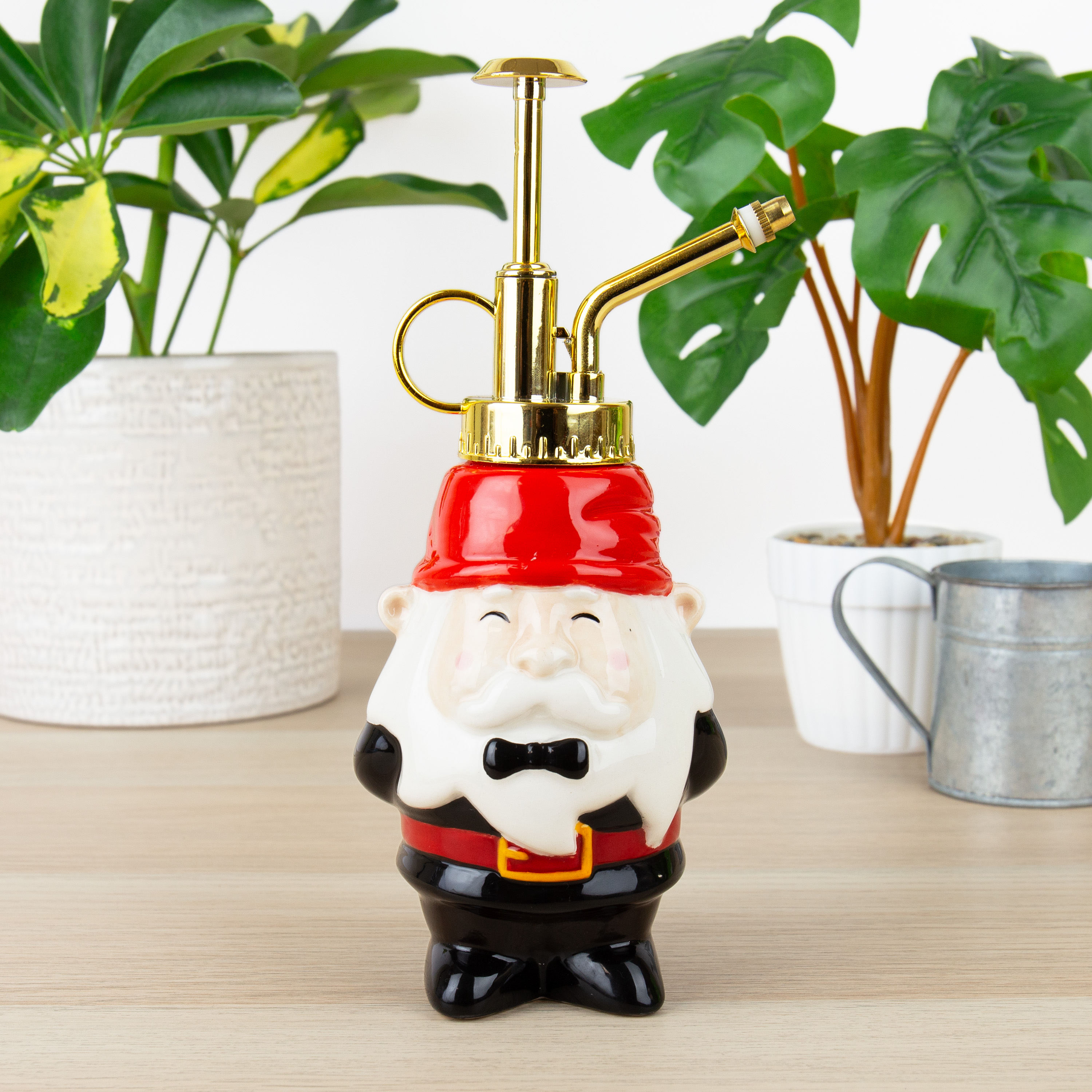 Växt Mister Gnome