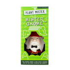 Växt Mister Gnome