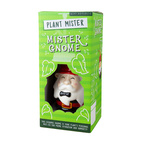 Växt Mister Gnome