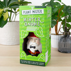 Växt Mister Gnome
