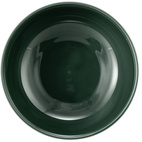 Seltmann Frukostskål Terra Mossgrön 15 cm 4-pack