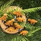 Nordic Ware Dinosaur Cakelet Pan *