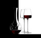 Zieher Gåvoset Dekanterare Eddy Mini och Vinglas Vision Straight 2 st