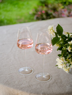 Zieher Vinglas Vision Fresh 2-pack