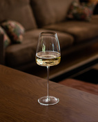 Zieher Vinglas Vision Straight 2-pack