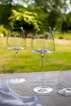 Zieher Vinglas Vision Intense 2-pack