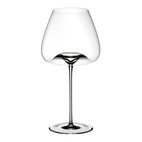 Zieher Vinglas Vision Balanced 2-pack