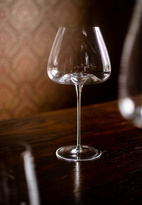 Zieher Vinglas Vision Balanced 2-pack