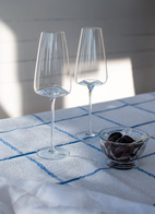 Zieher Vinglas Vision Rich 2-pack