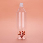 Flaska Atlantis Korall 1,2l