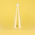 Flaska Botanical Citron 1,0l, Borosilikatglas
