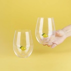 Dricksglas Botanical, Citron, set med 2