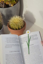 Bokmärke Blomma, Prästkrage, Vit