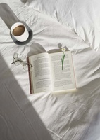 Bokmärke Blomma, Prästkrage, Vit