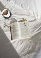 Bokmärke Blomma, Solros, Gul