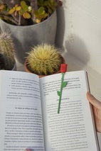 Bokmärke Blomma, Ros Röd